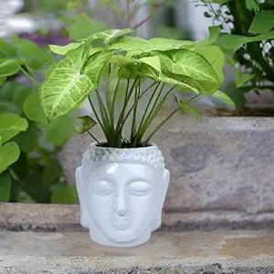 Plastic White Buddha Pot